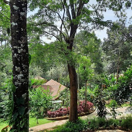 Willow Resorts Ambalavayal Exterior foto