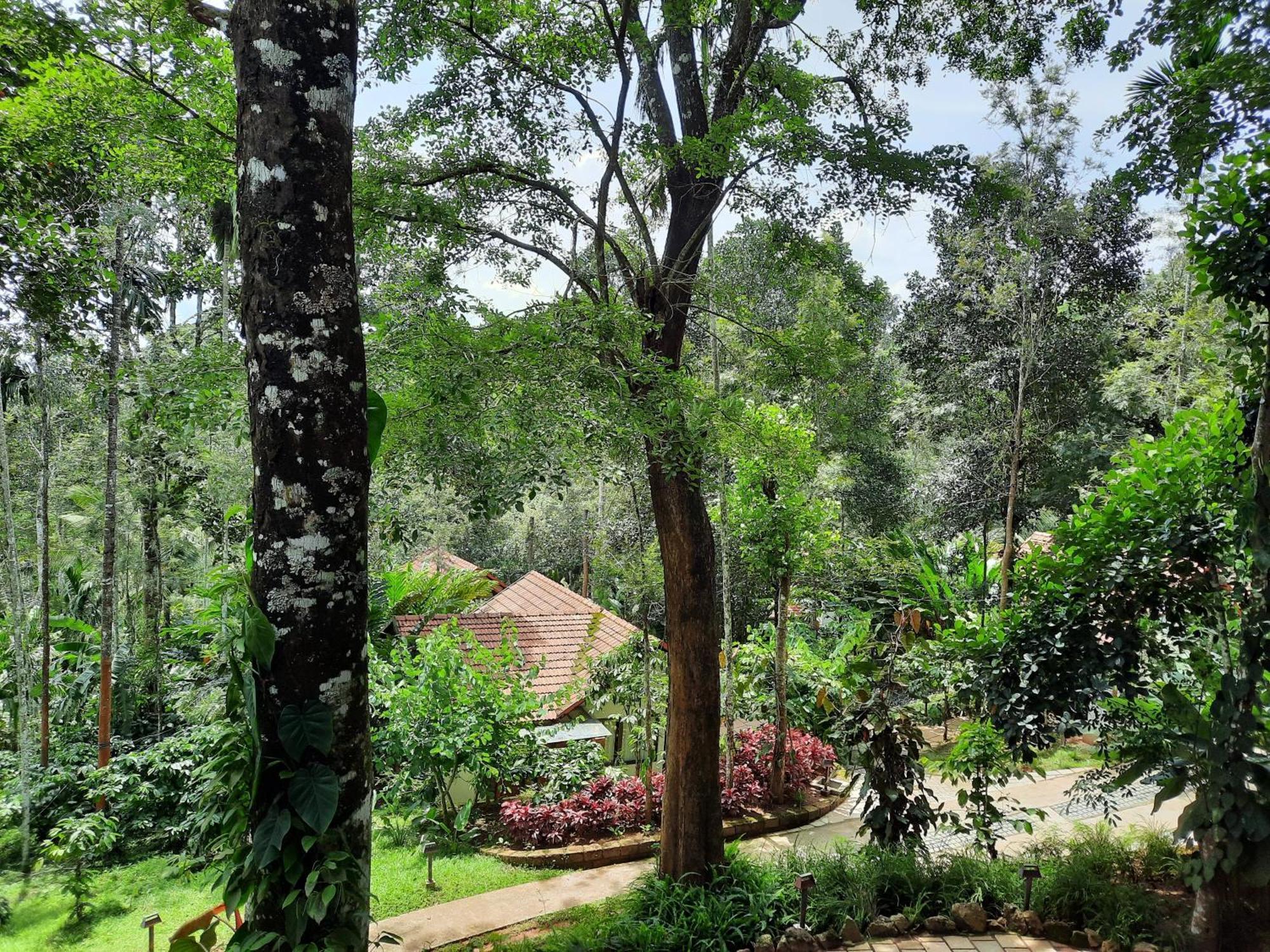 Willow Resorts Ambalavayal Exterior foto